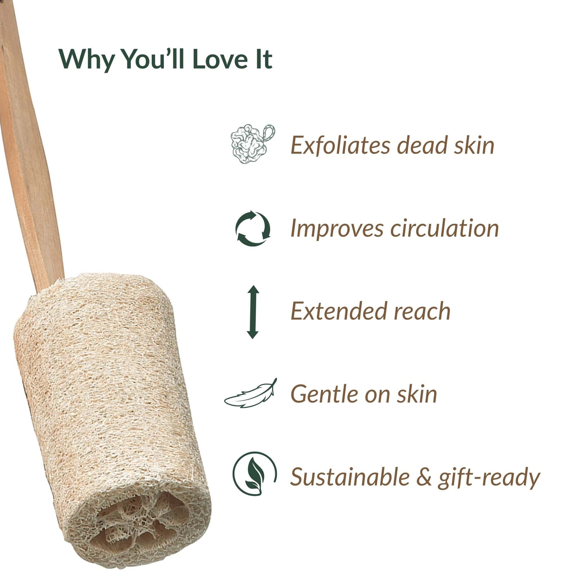 evideco-spa-wellness-luffa-manche-bois-brosse-de-dos-exfoliante image 7