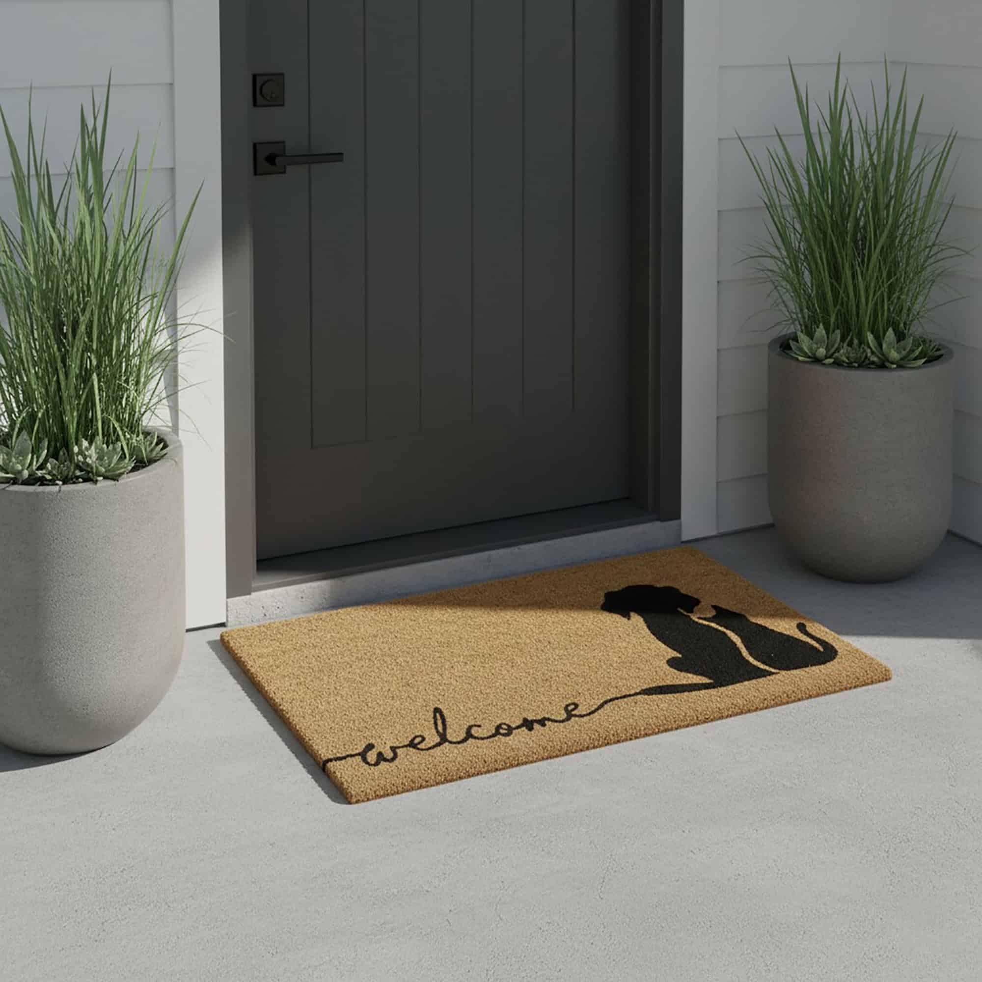 evideco-home-accessories-paillasson-coco-chien-chat-76x45-cm image 4