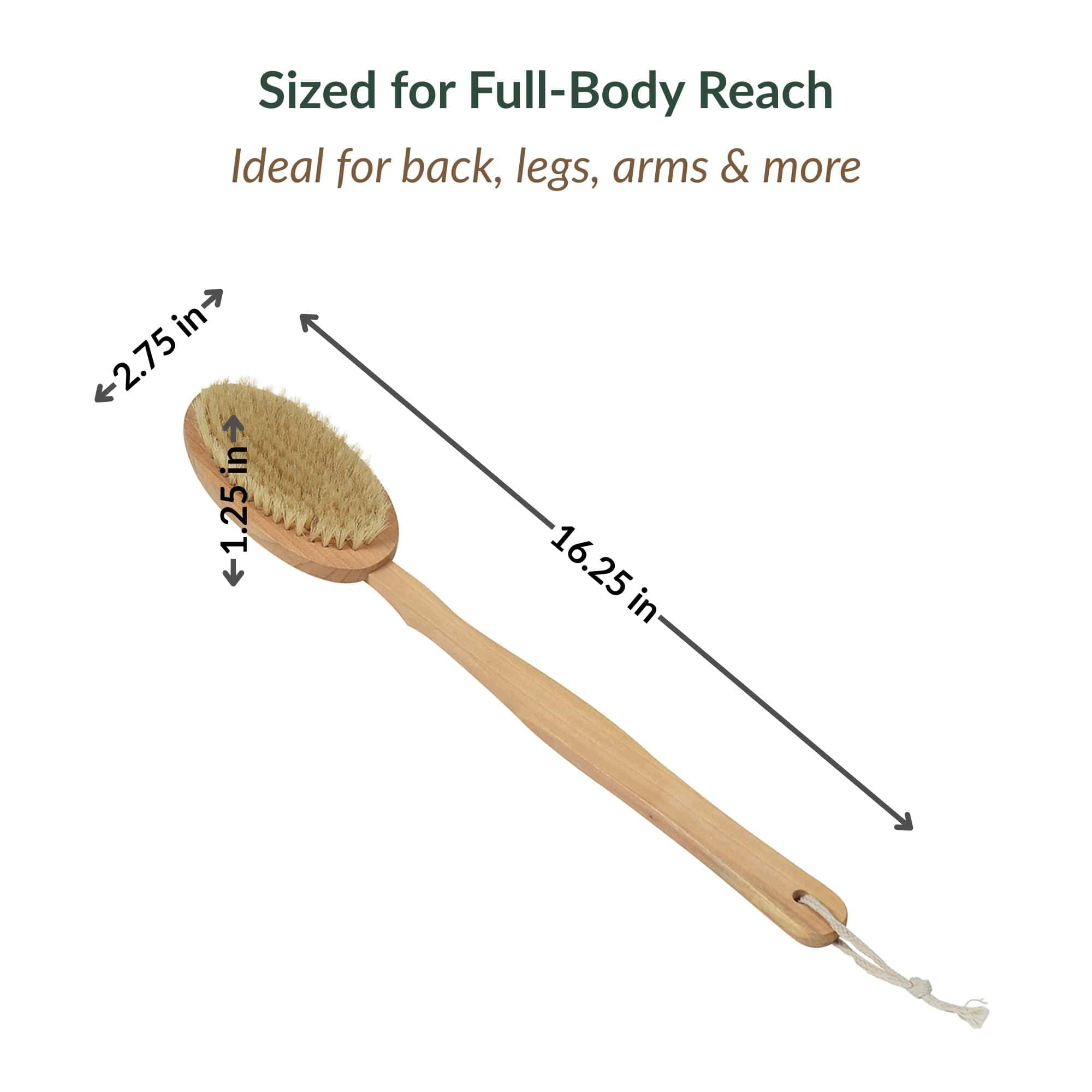 evideco-brosse-corps-bois-manche-long-dos-exfoliante image 5