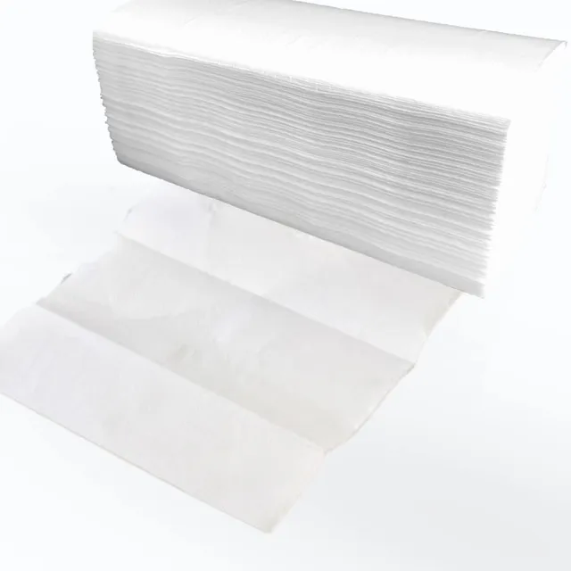 dstock60-essuie-mains-pli-en-z-2-plis-carton-20-x-130-formats image 1