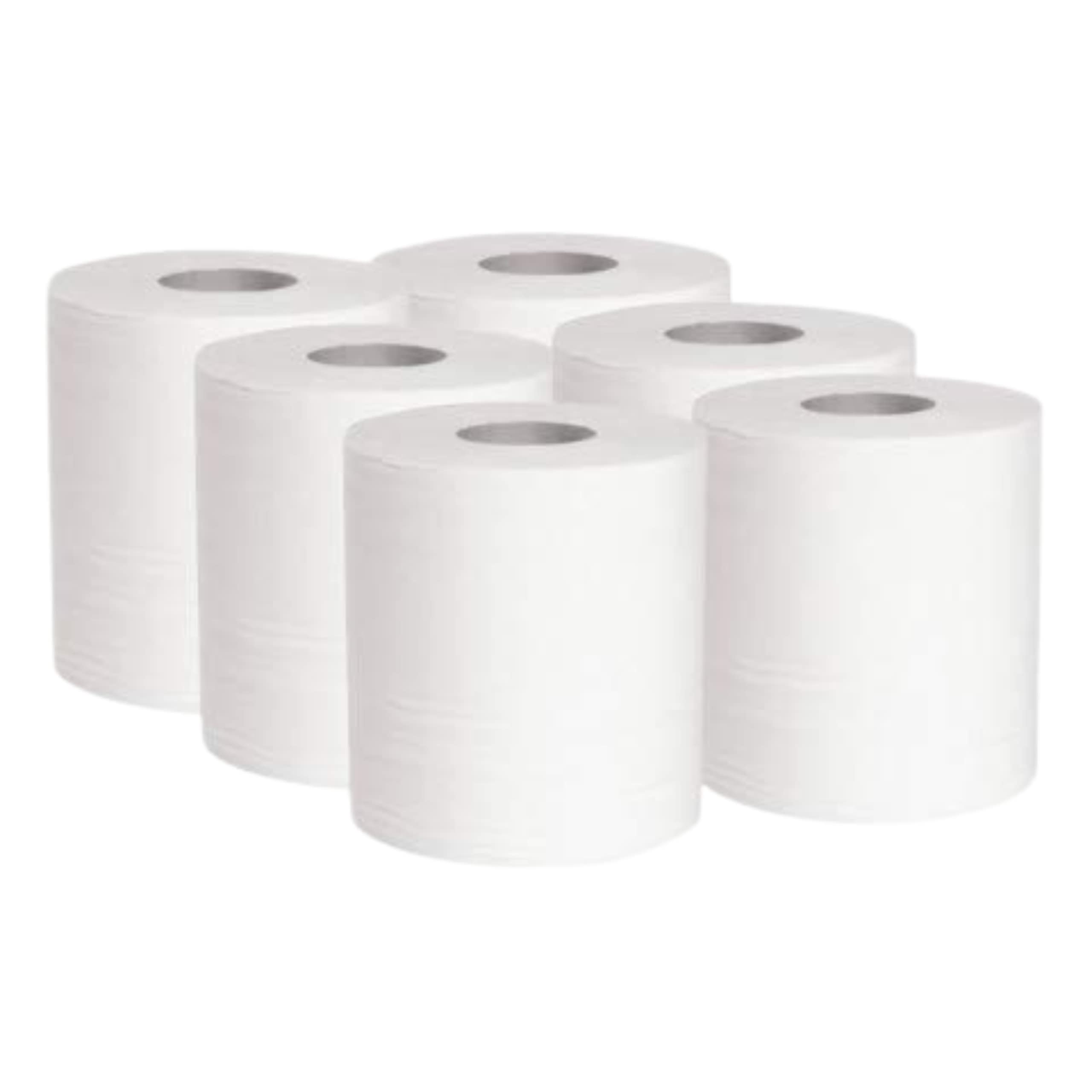 dstock60-essuie-mains-bobine-6-rouleaux-2-plis-450-formats image 1