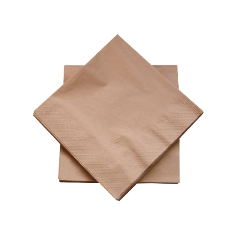 dstock60-arts-de-la-table-serviettes-papier-noix-100-pcs-40x40-jetables image 2