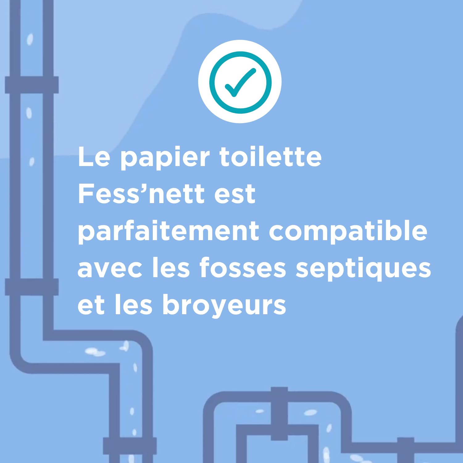 fess-nett-papier-toilette-sec-le-doux-papier-wc-12-rouleaux-double image 4