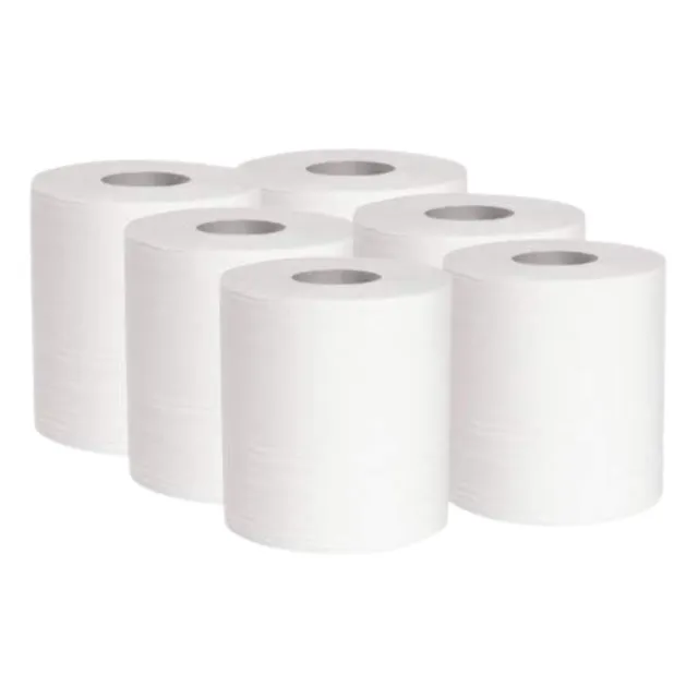 dstock60-essuie-mains-bobine-6-rouleaux-2-plis-450-formats image 1