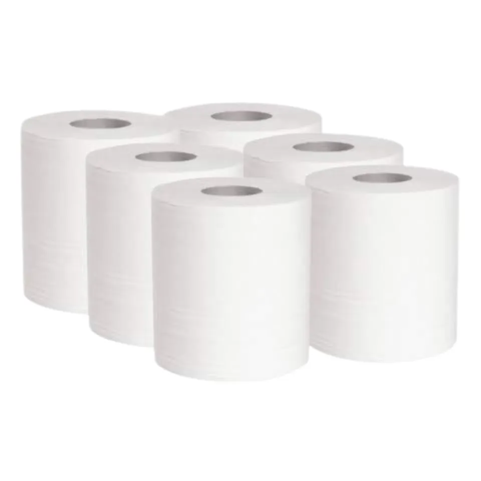 dstock60-essuie-mains-bobine-6-rouleaux-2-plis-450-formats image 1