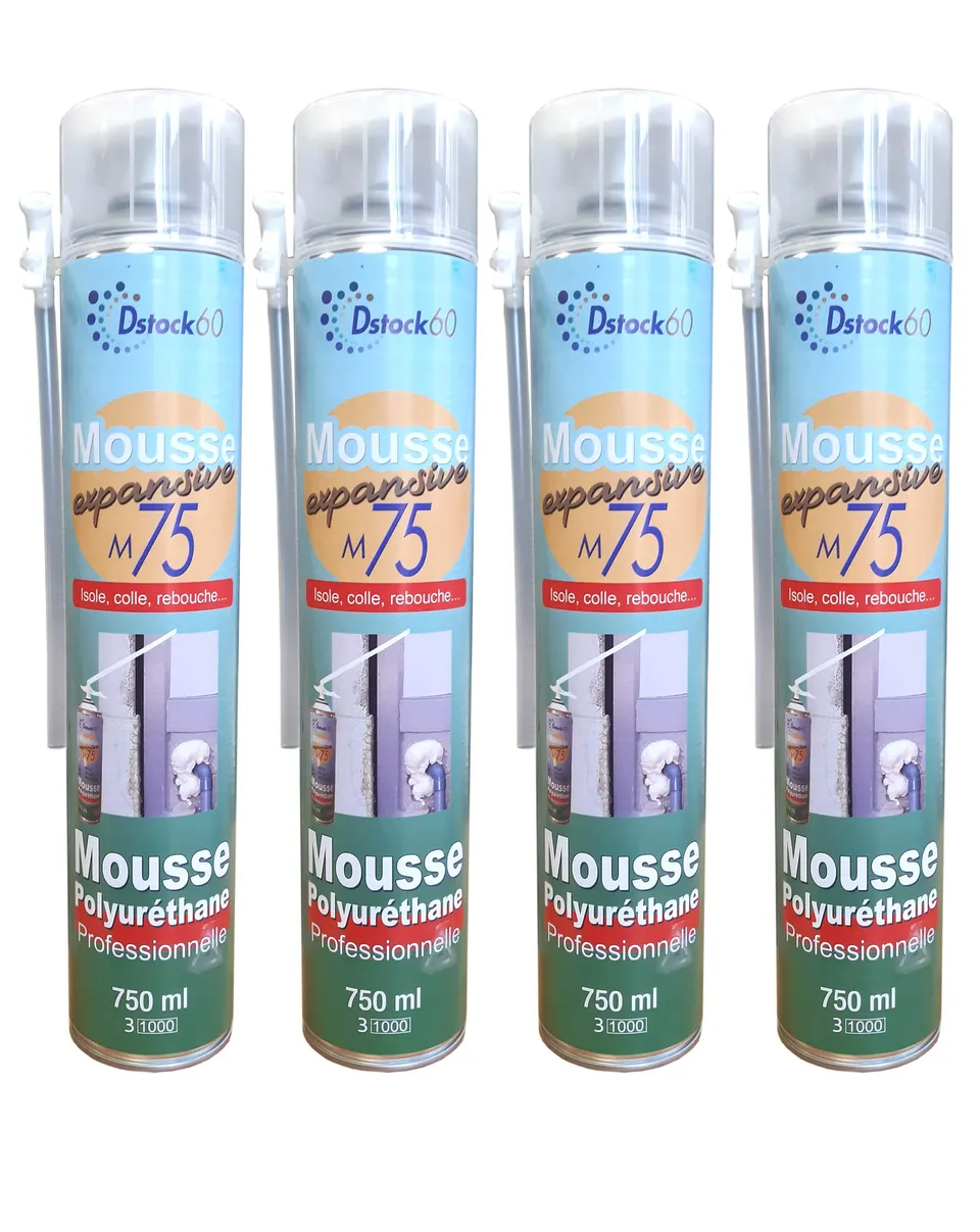 dstock60-construction-mousse-expansive-750ml-lot-de-4 image 1