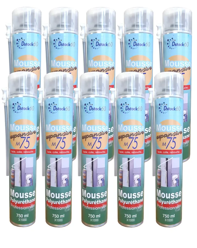 dstock60-mousse-expansive-manuelle-750ml-lot-10-polyur-thane image 1