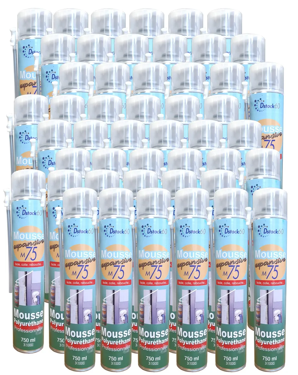 dstock60-mousse-expansive-manuelle-750ml-lot-48 image 1