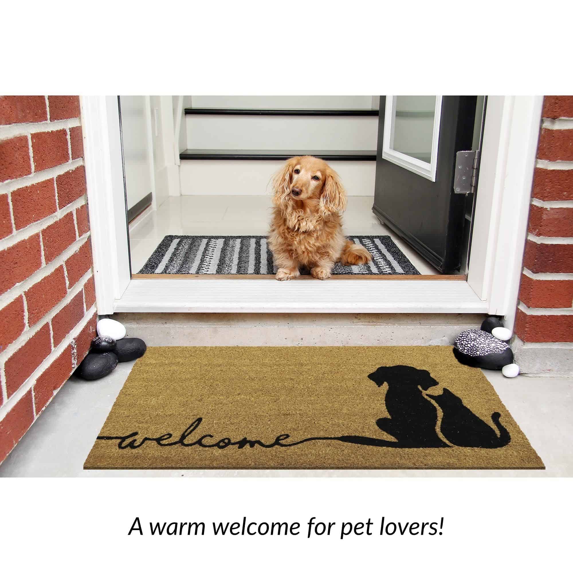evideco-home-accessories-paillasson-coco-chien-chat-76x45-cm image 5