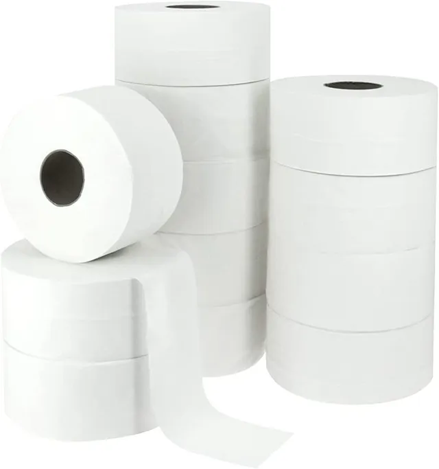 dstock60-papier-toilette-maxi-jumbo-eco-300m-lot-12-2-plis image 1