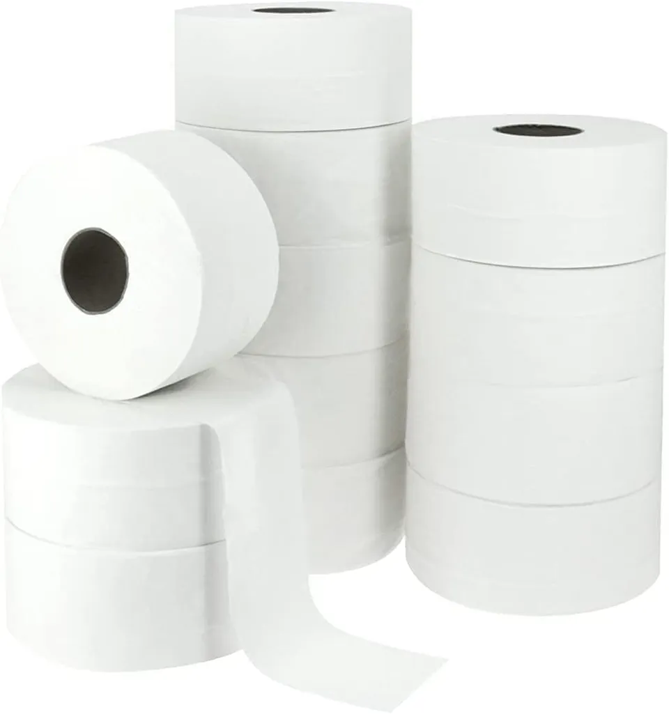 dstock60-papier-toilette-maxi-jumbo-eco-300m-lot-12-2-plis image 1