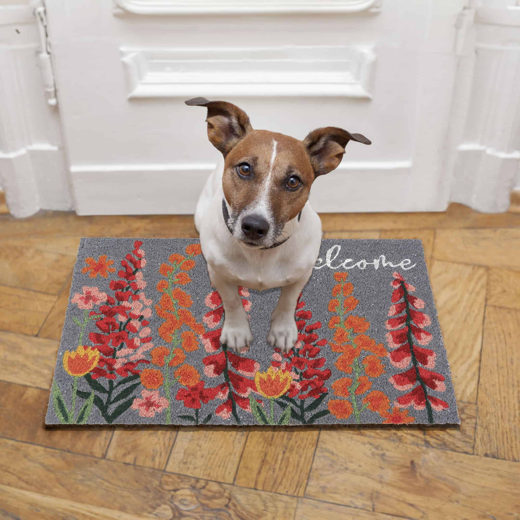 evideco-home-accessories-paillasson-coco-floral-30x18-antid-rapant image 6