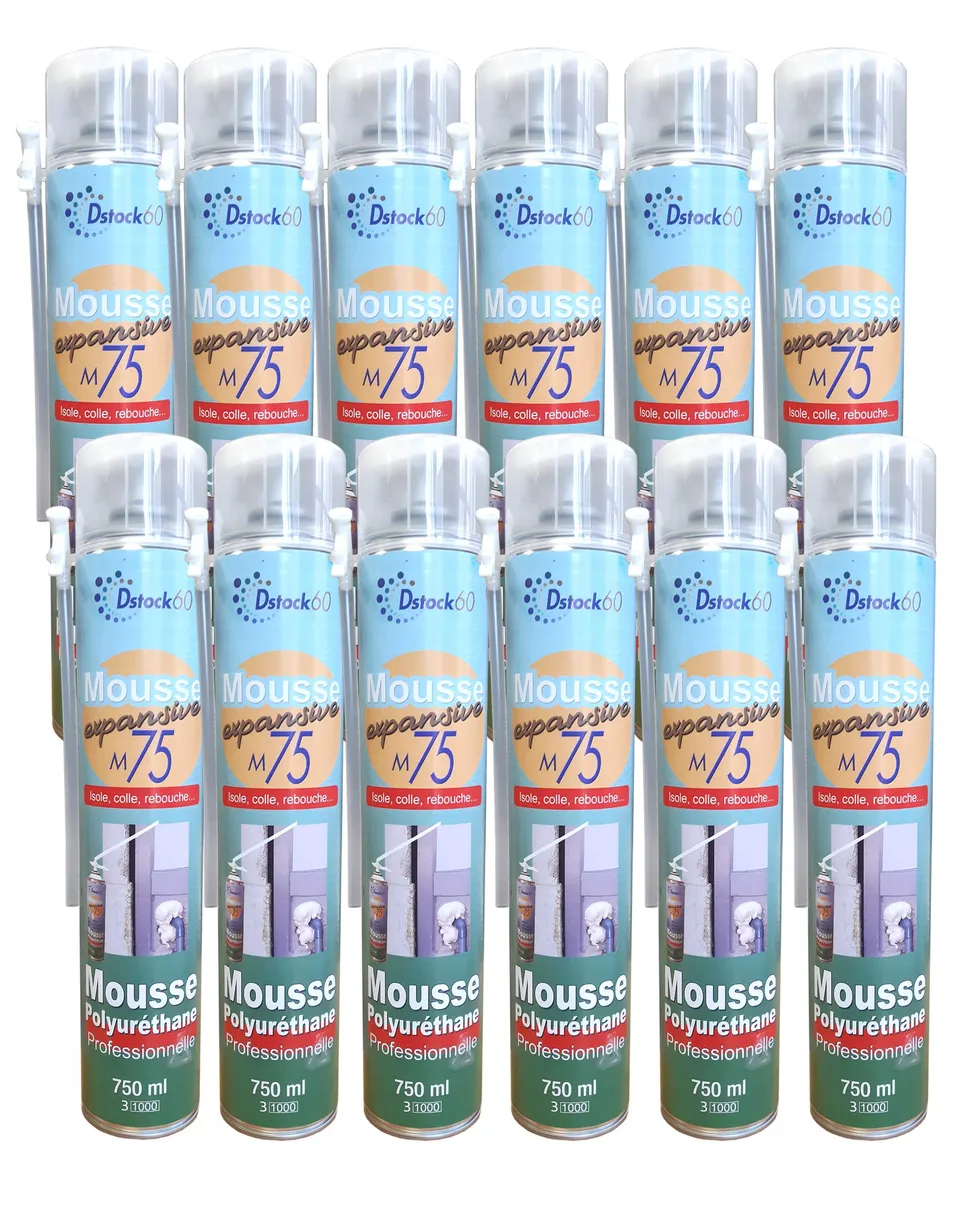 dstock60-mousse-expansive-manuelle-750ml-lot-12-polyur-thane image 1
