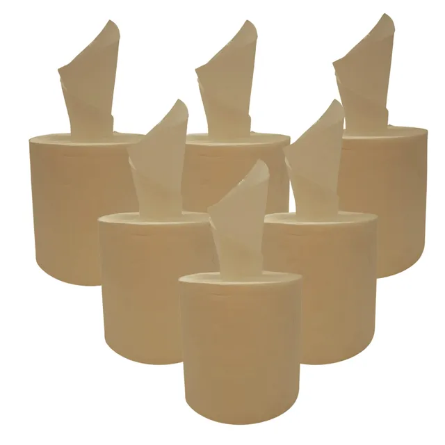 dstock60-essuie-mains-bobine-chamois-6-rouleaux-450-formats-2-plis image 1