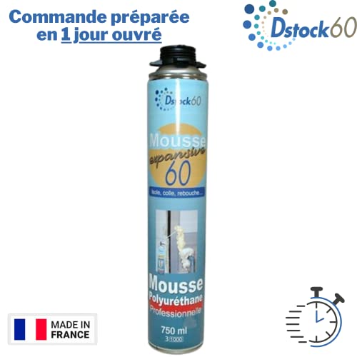 dstock60-construction-mousse-expansive-750-ml-lot-12-isolation image 7