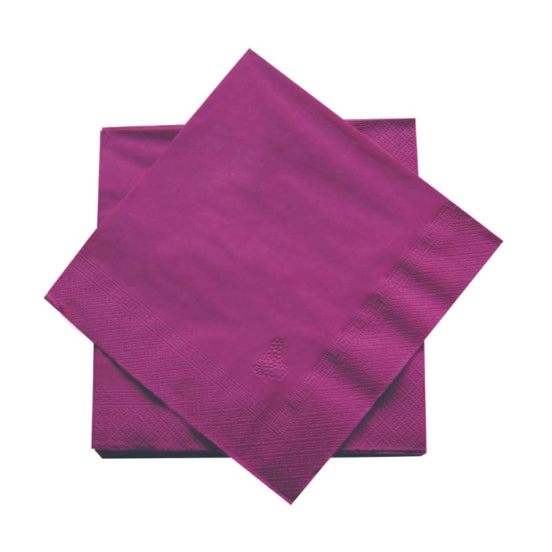 dstock60-arts-de-la-table-serviettes-papier-noix-100-pcs-40x40-jetables image 6
