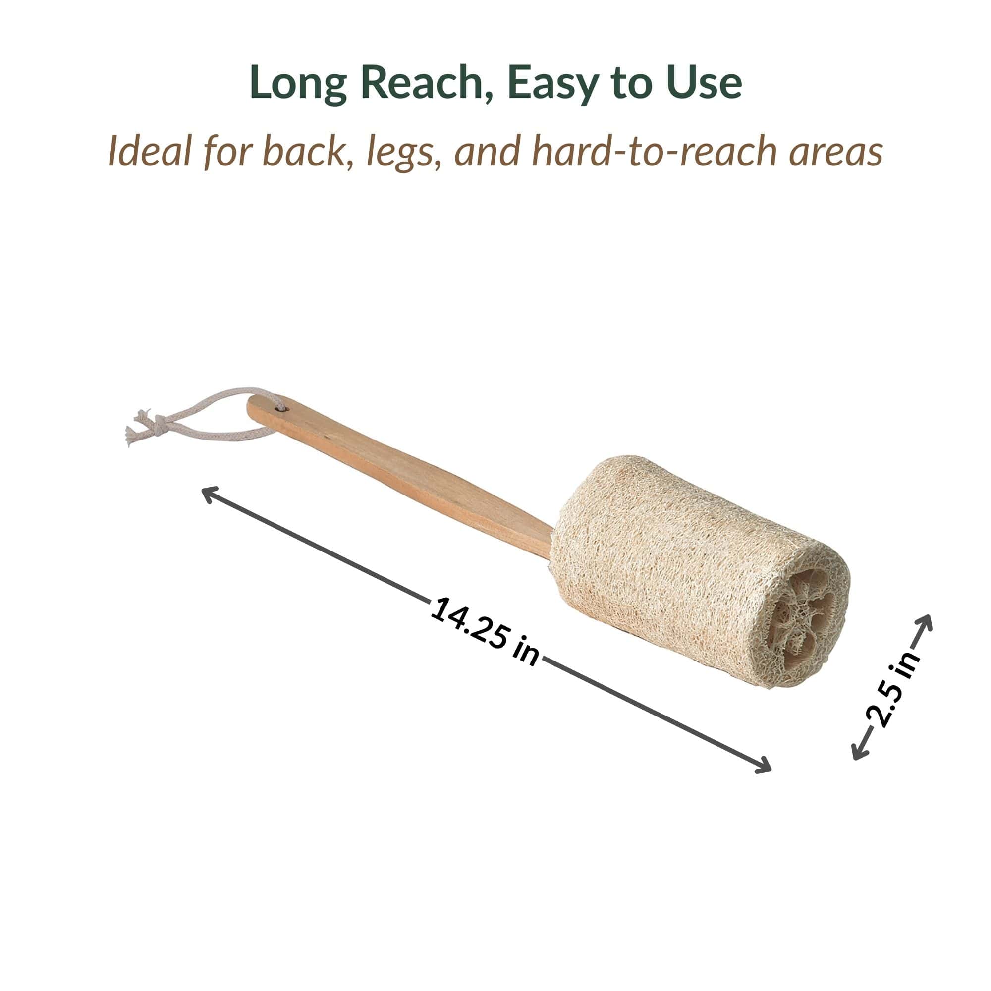 evideco-spa-wellness-luffa-manche-bois-brosse-de-dos-exfoliante image 5