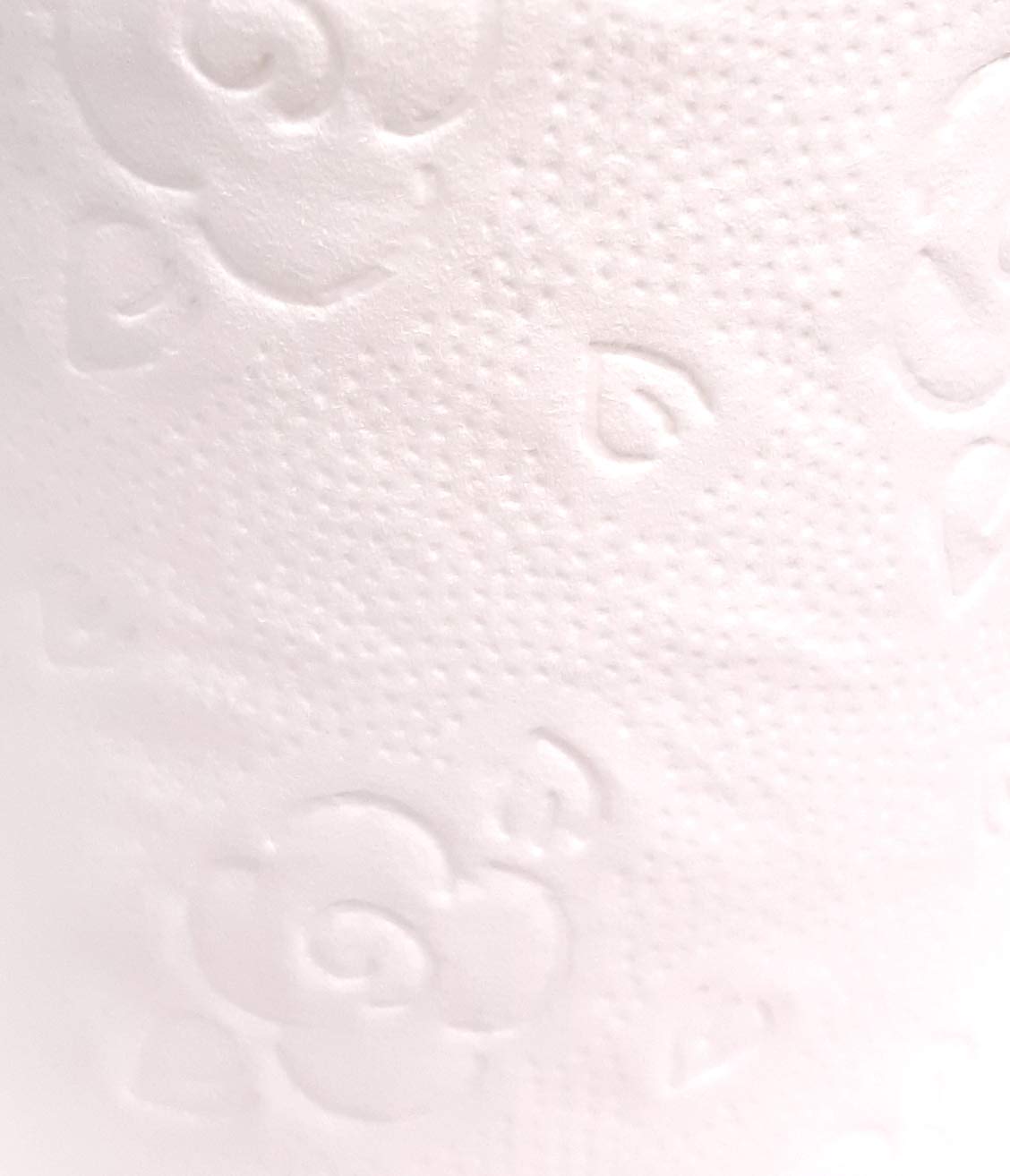 dstock60-papier-toilette-blanc-gaufrage-fleurs-2-plis-24-rouleaux image 3