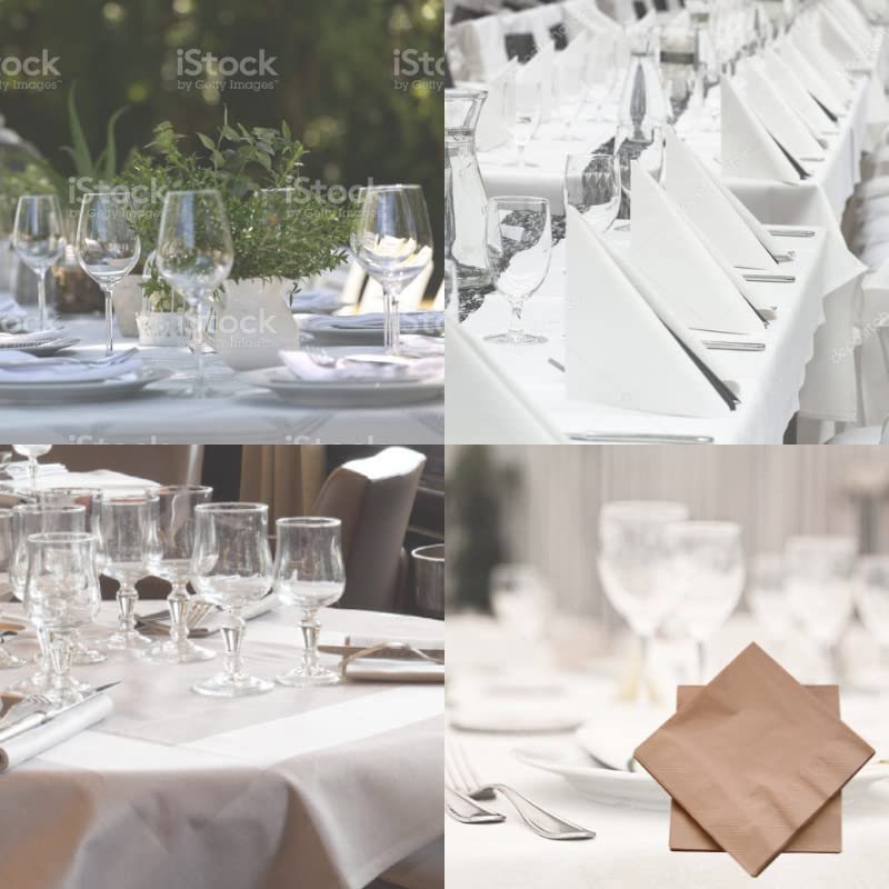 dstock60-arts-de-la-table-serviettes-papier-noix-100-pcs-40x40-jetables image 4