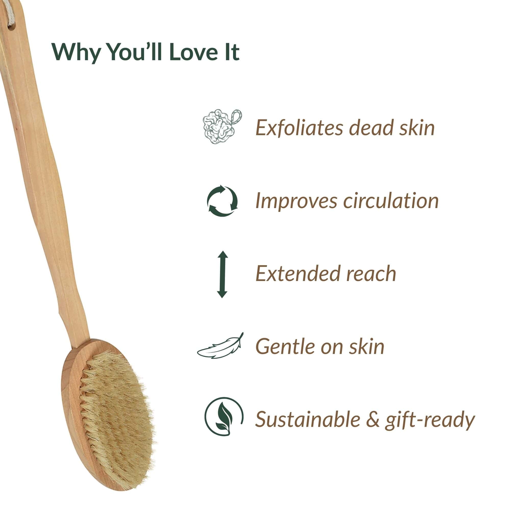 evideco-brosse-corps-bois-manche-long-dos-exfoliante image 7