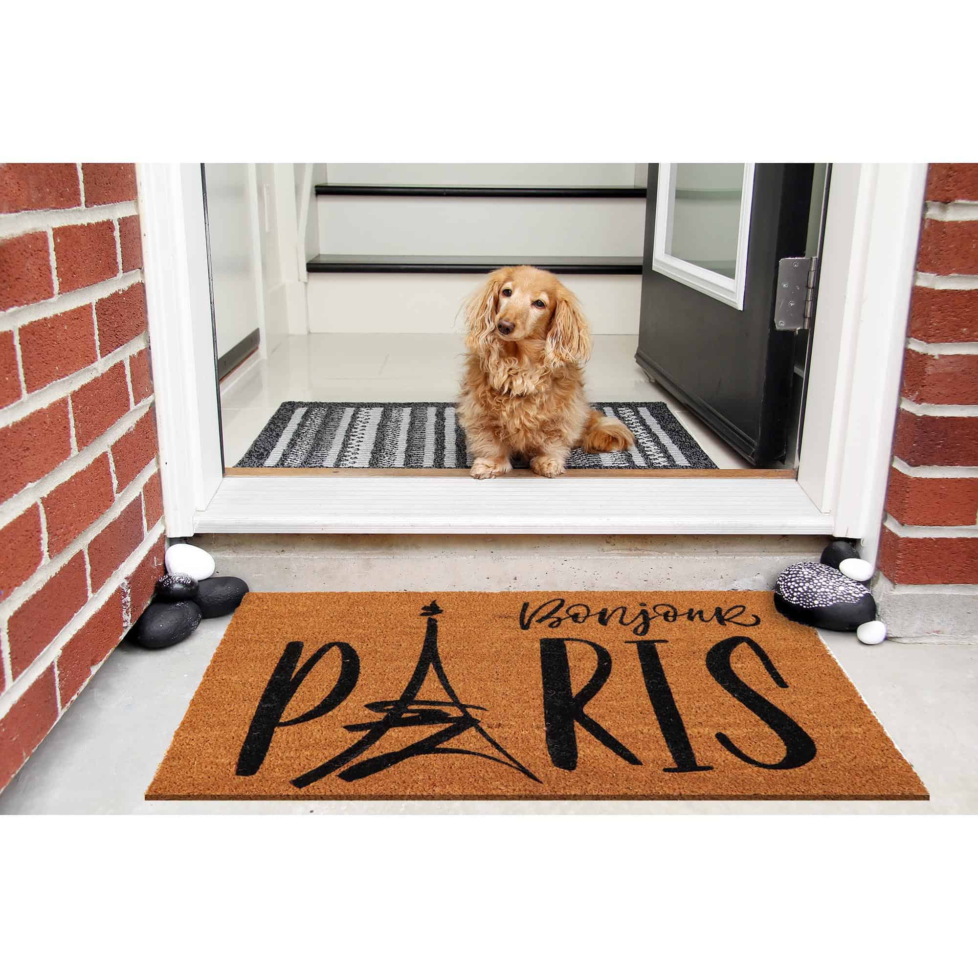 evideco-home-accessories-paillasson-coco-bonjour-paris-naturel-76x46 image 3