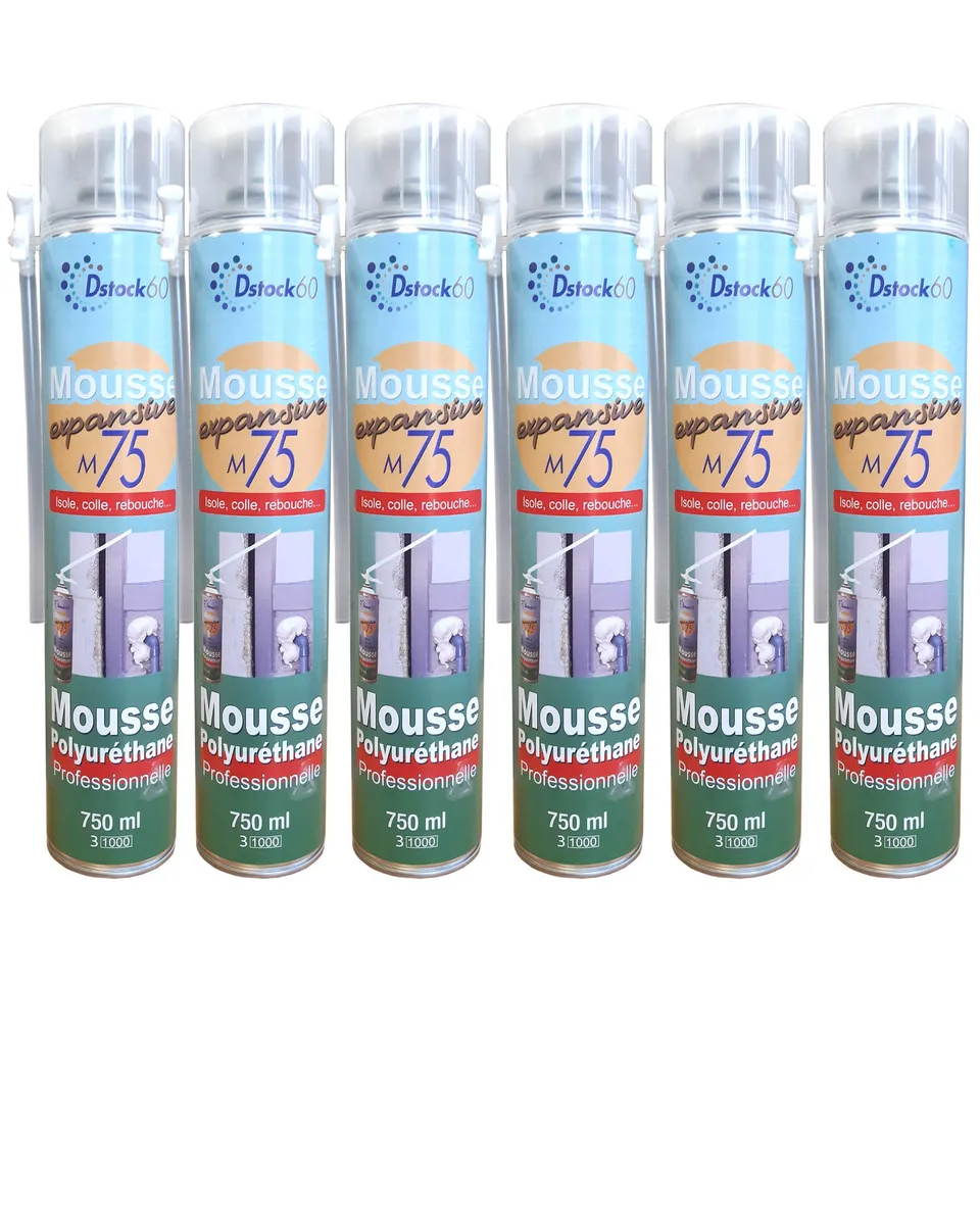 dstock60-mousse-expansive-polyur-thane-750-ml-lot-6 image 1