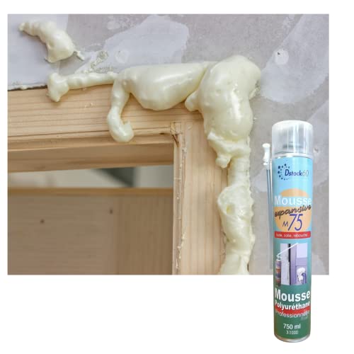 dstock60-mousse-expansive-manuelle-750ml-lot-48 image 8