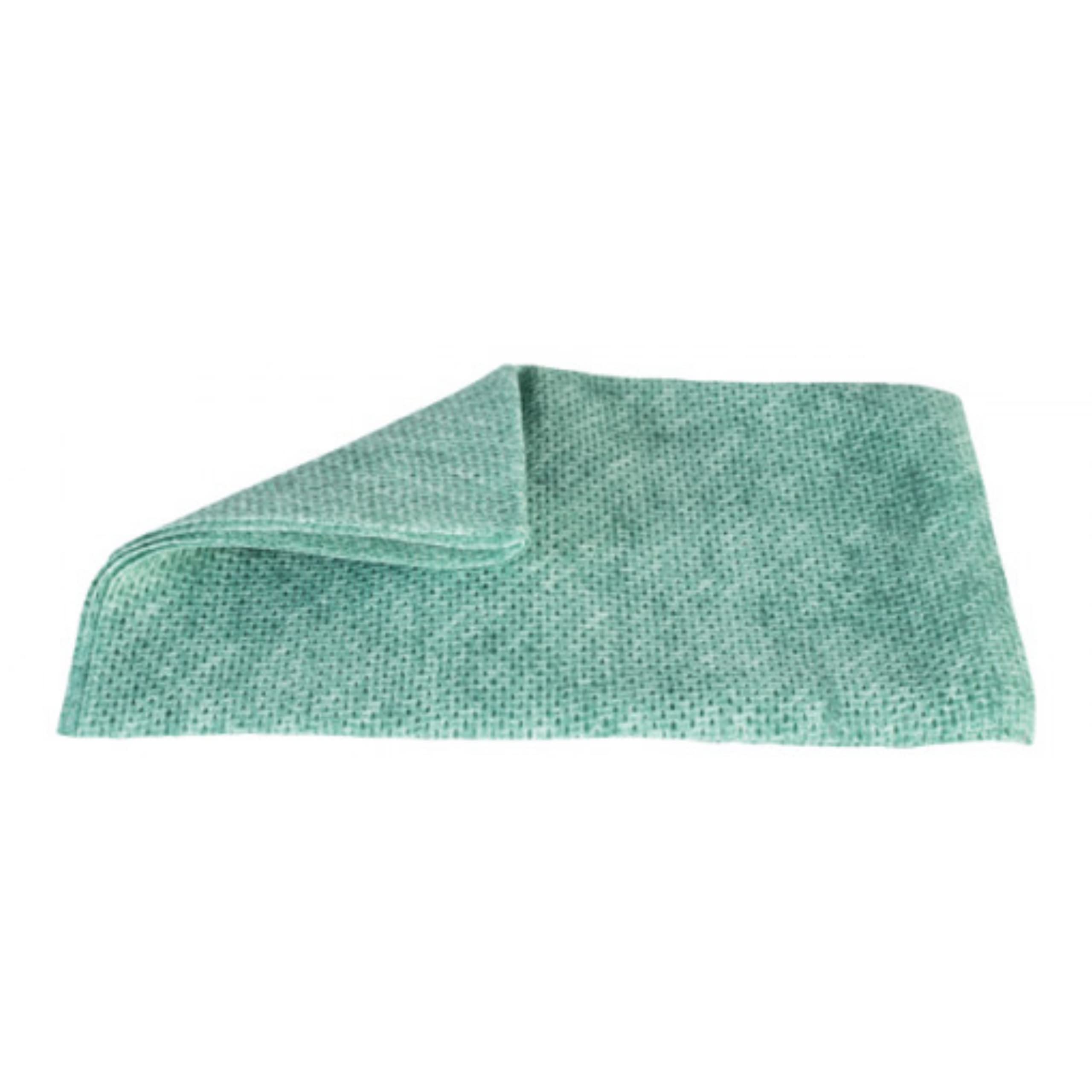 dstock60-lavette-non-tiss-e-verte-50x35-cm-lot-10-haccp image 1
