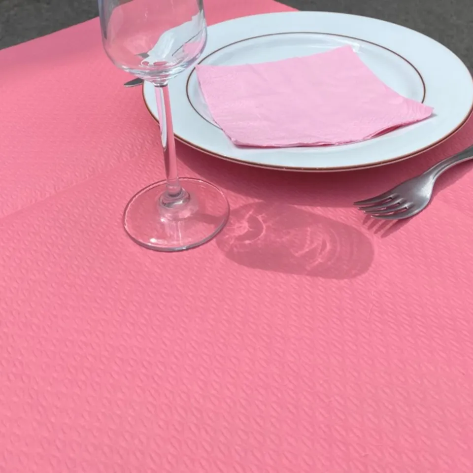 dstock60-nappes-jetables-gaufr-es-roses-60x60-cm-lot-500 image 1